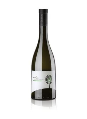 Sauvignon Blanc – Dealu’ Negru