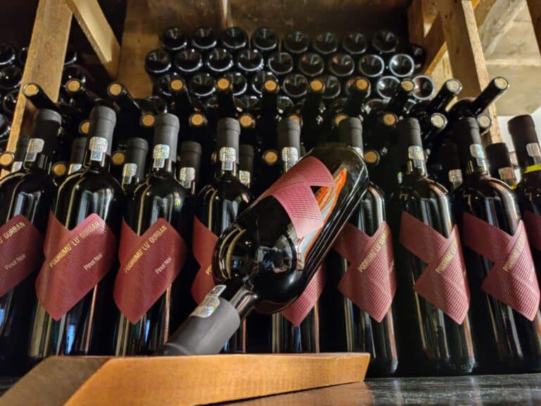 Read more about the article Podrumu’ lu’ Gurban, despre un vin creat de oameni care inteleg corect drumul vinului