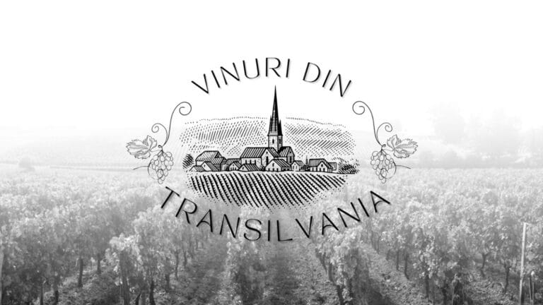 Read more about the article Inceputul vinuridintransilvania.ro