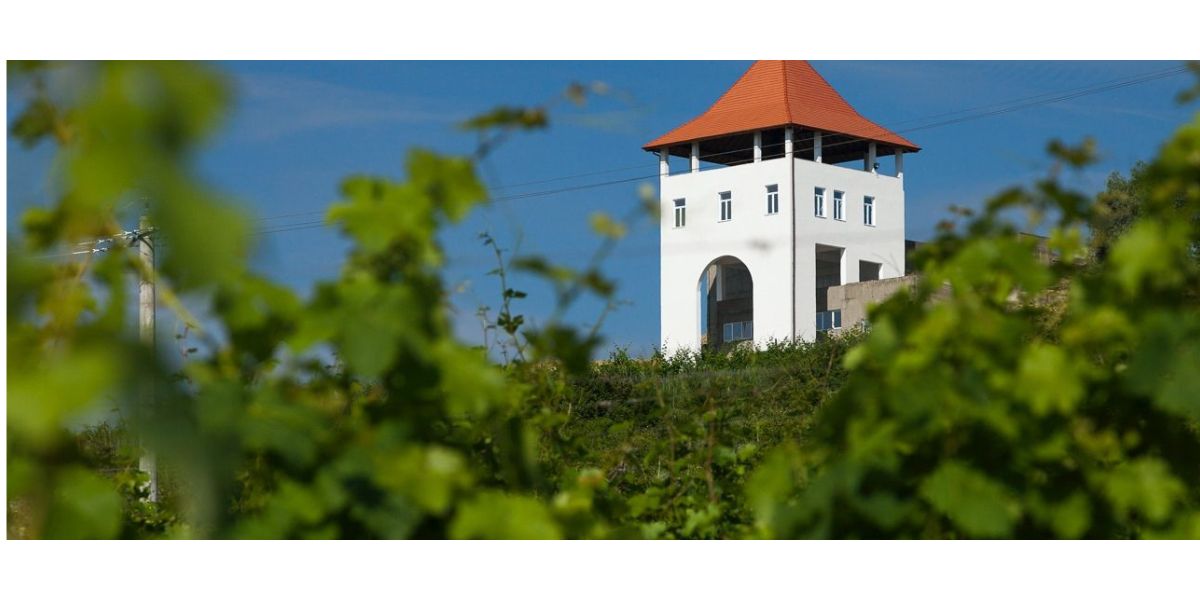Crama Villa Vinea Crama Villa Vinea